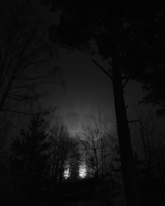 Bright lights glow through foggy trees in a dark forest at night.