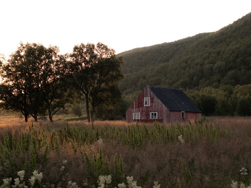 Weathered red barn sits in tall grass at sunset, backed by hills.