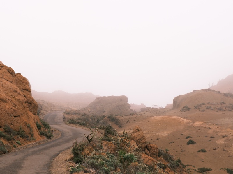 Winding road cuts through foggy desert rocks in muted pink light.
