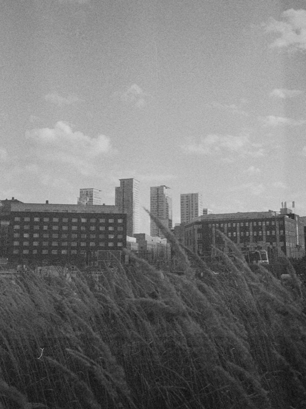 Grassy field in the foreground with a black-and-white city skyline beyond.