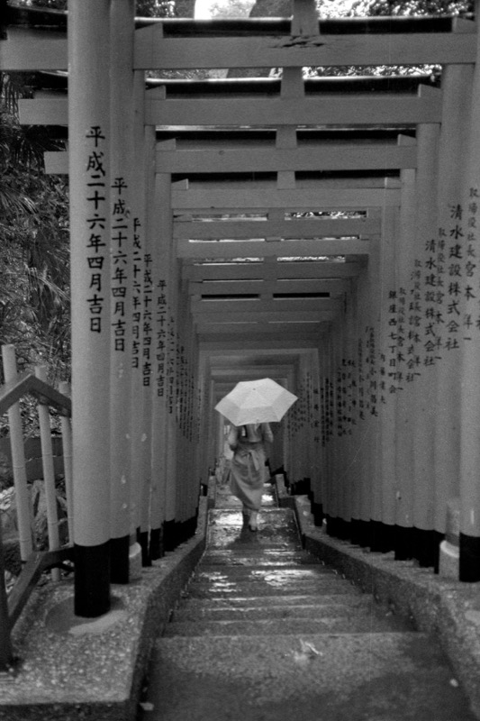 Person with an umbrella walks down wet shrine steps lined with torii gates.